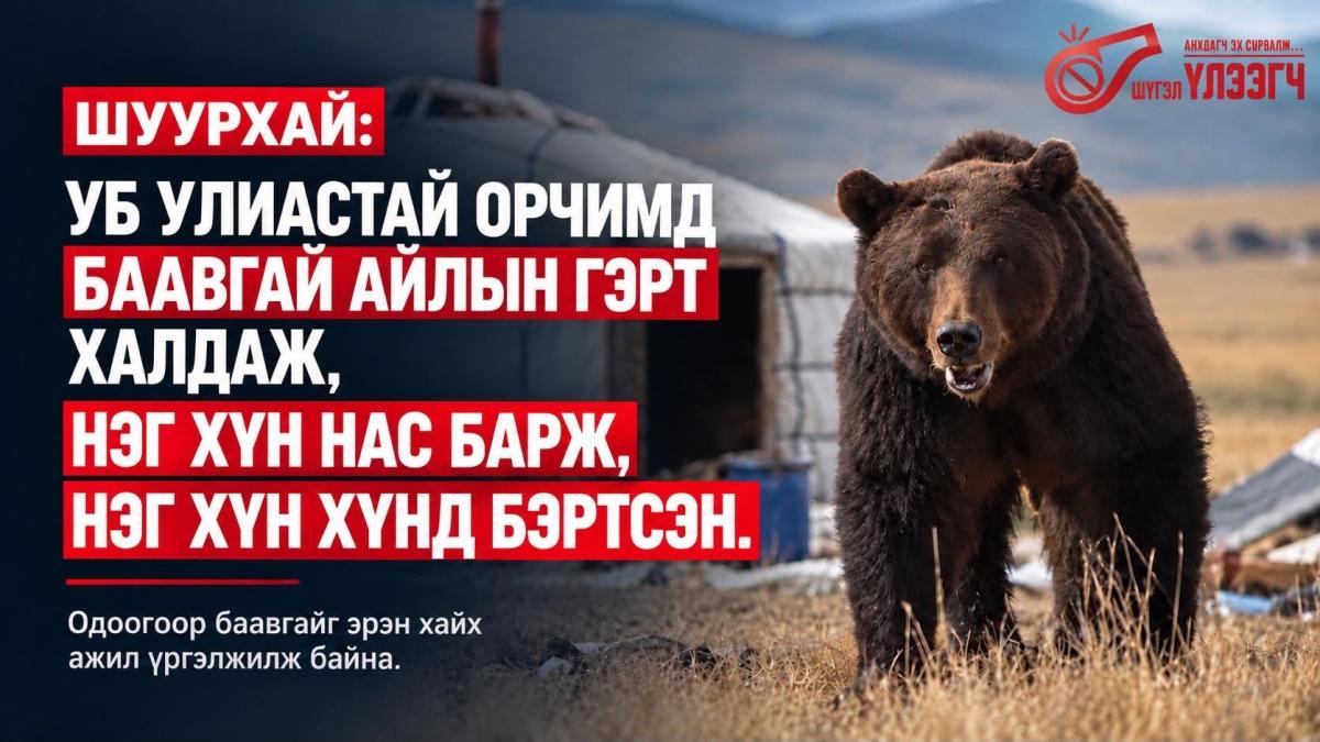 СЭРЭМЖЛҮҮЛЭГ: Баянзүрх дүүргийн Улиастайн гол дагуух айл руу баавгай халдаж, нэг хүн нас барж, нэг хүн бэртжээ