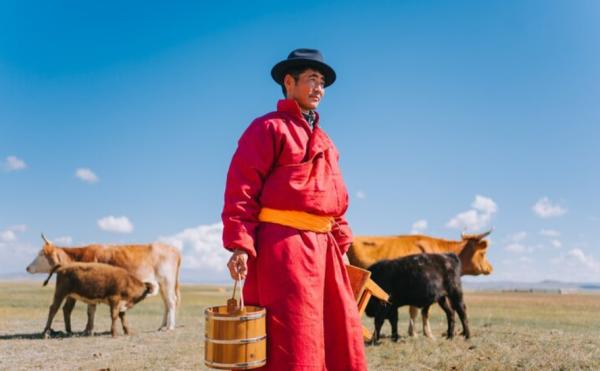 Монголын малчид крипто арилжиж, малдаа бичил чип суулгадаг