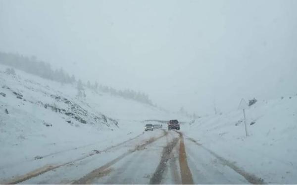 ЗГ: Авто замын сүлжээний ашиглалт, замын хөдөлгөөний аюулгүй байдал, өвөлжилтийн бэлтгэл хангахыг даалгав