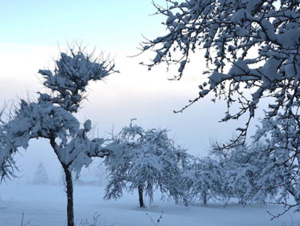 Энэ сарын 19-нөөс ихэнх нутгаар хүйтний эрч чангарна