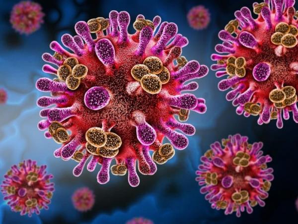 &ldquo;Нипах&rdquo; вирус бүртгэгдсэн бүс нутагт зорчихгүй байхыг зөвлөж байна