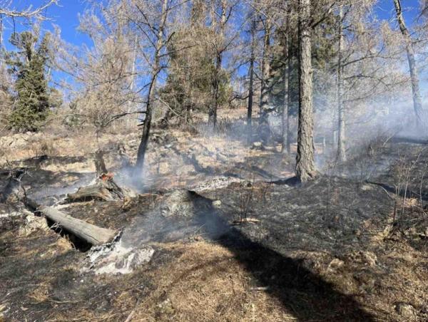 Богдхан ууланд гарсан ой хээрийн түймрийг бүрэн унтраалаа
