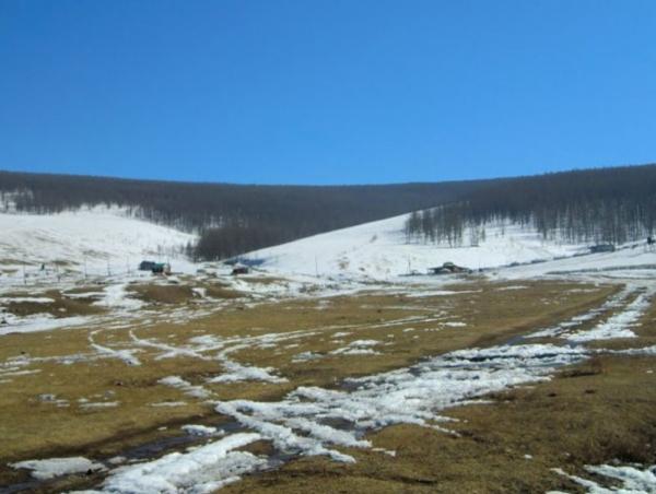 Нийт нутгийн 15 хувьд цастай байна