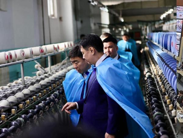 &ldquo;Цагаан алт&rdquo; хөтөлбөрийн хүрээнд ноос, ноолуурын үйлдвэрлэл нэмэгджээ