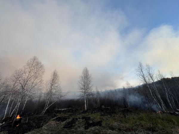 Төв аймгийн Мөнгөнморьт суманд гарсан ойн түймрийг бүрэн унтраалаа