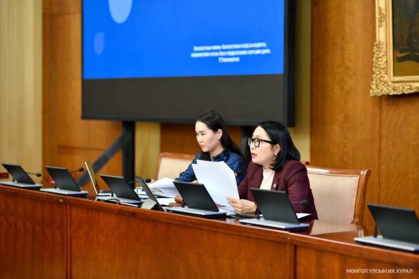 ӨБХ: Хуулийн хэрэгжилтийн тайлан, Ажлын хэсгийн санал, дүгнэлт, "Засгийн газарт чиглэл өгөх тухай" УИХ-ын тогтоолын төслийг хэлэлцэв