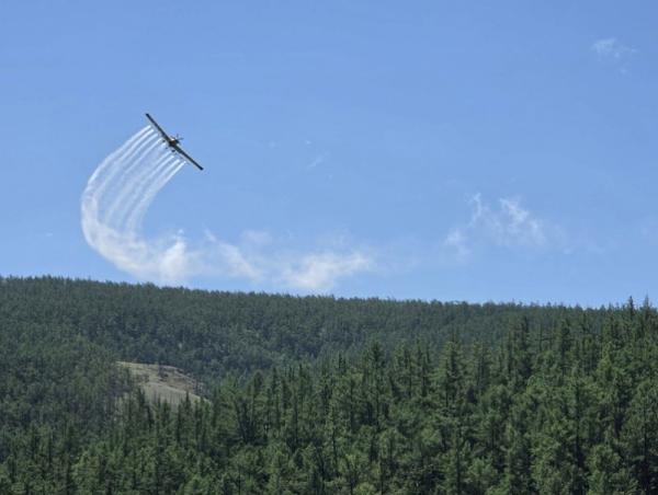 Завхан аймагт ойн хөнөөлт шавжтай тэмцэх ажил үргэлжилж байна