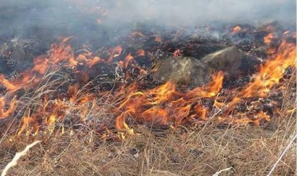 Дорнод аймагт гарсан хээрийн түймэрт 8000 га газар өртжээ