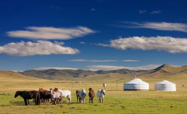 НҮБ | Монголд ялгарч буй нүүрсхүчлийн хий дэлхийн дунджаас 15 дахин их
