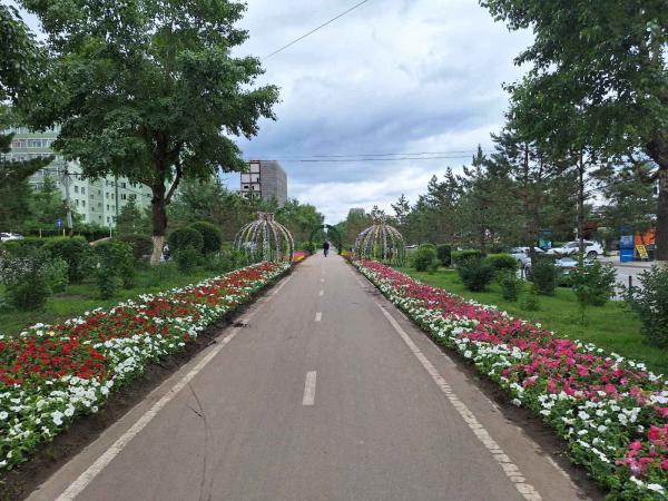 Улаанбаатар хотын 110 байршилд 920 мянга гаруй цэцэг тарьжээ