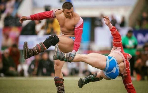 Аравдугаар сард болох үндэсний бөхийн барилдааны хуваарь