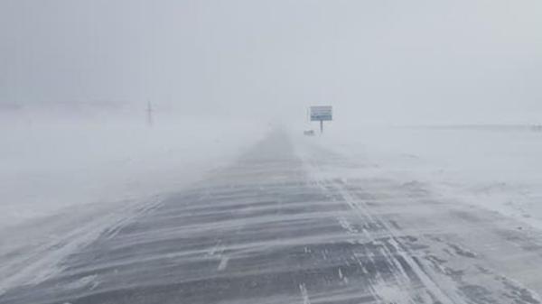 Төөрсөн сураггүй болсон 3 удаагийн дуудлага бүртгэгдэж, эрлийн ажиллагааг зохион байгууллаа