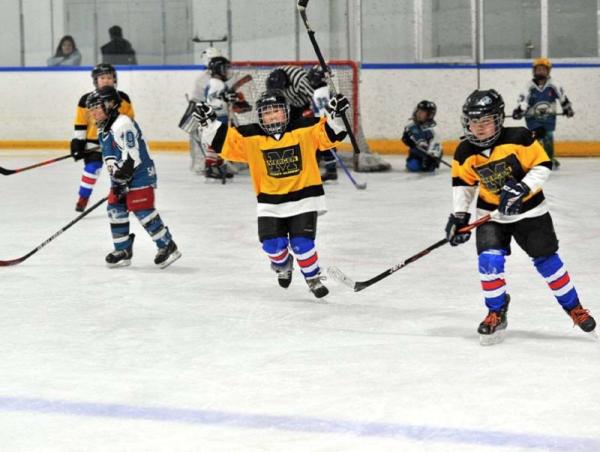 Хоккейчдын "U-8" насны ангиллын цомын аварга шалгаруулах тэмцээн зохион байгуулагджээ