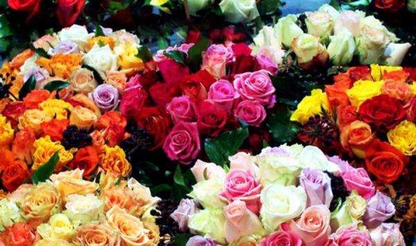 СТАТИСТИК: Монгол Улсад Лили нэртэй 15, Мартыннайман нэртэй нэг хүн байна