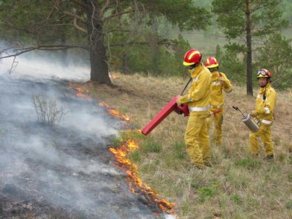 Ой хээрийн түймэр тавьсан хэргийг шүүхээр шийдвэрлүүлжээ