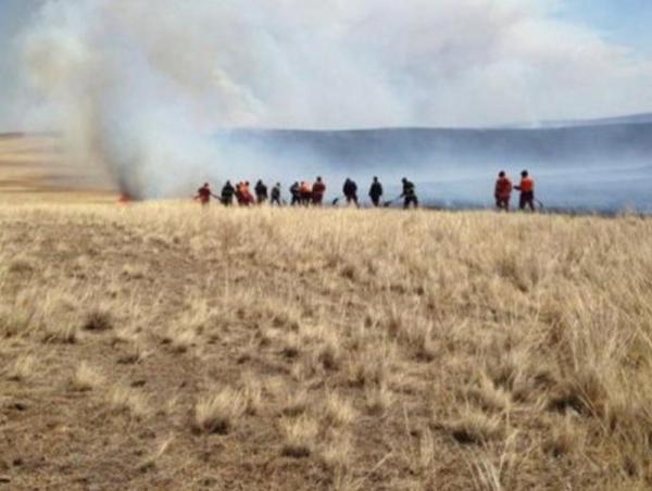 Дорнод, Хэнтий аймагт гарсан 3 хээрийн түймрийг унтраахаар ажиллаж байна