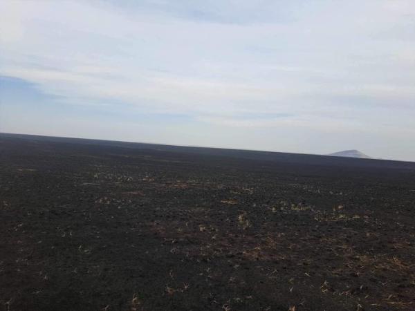 Хээрийн түймрүүдийг бүрэн унтраалаа