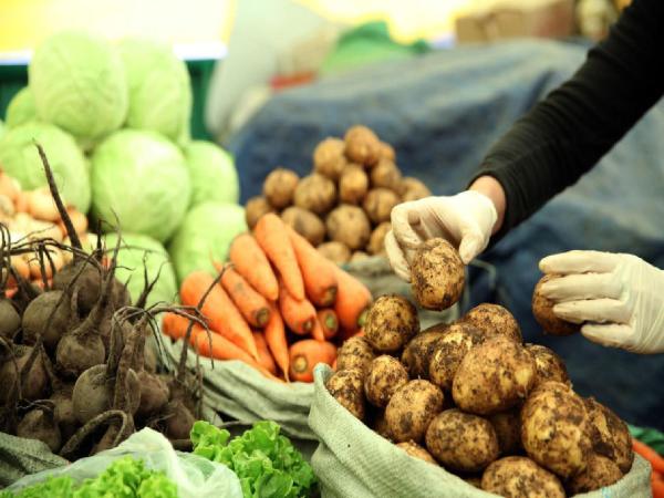 Тариаланчдад 17.1 тэрбум төгрөгийн урамшуулал олгов