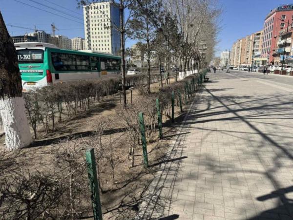 Нийтийн эзэмшлийн зам, талбай, ногоон байгууламжийг арчилж, цэвэрлэж байна